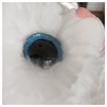 Extra puha nyávogó plüss cica nagy kék szemekkel, három színben