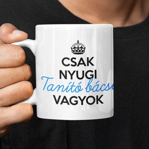 Csak nyugi - Tanító bácsi vagyok (A legjobb tanító bácsinak)